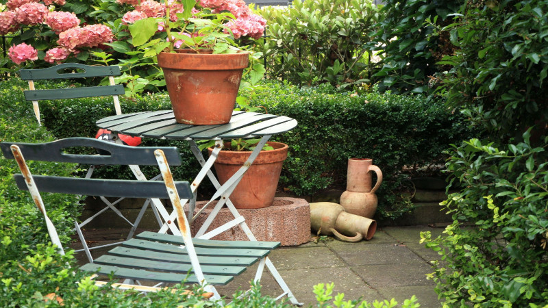 Tips on How To Improve Your Garden By Garden Center in St Petersburg, FL