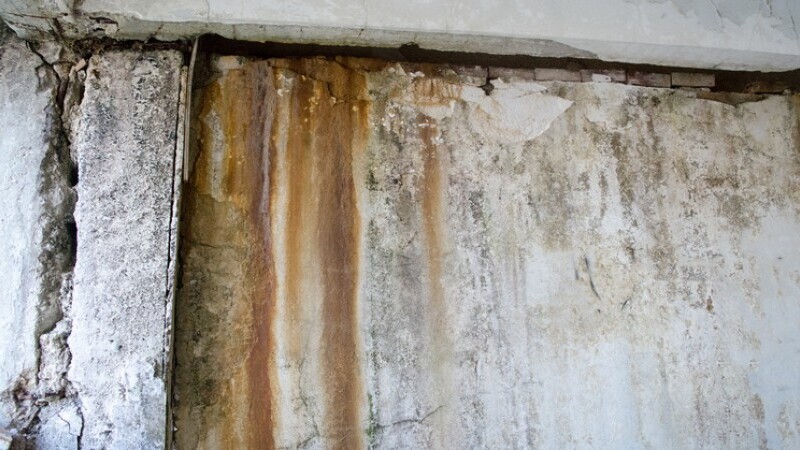 Signs You Need Mold Restoration in Fort Collins, CO
