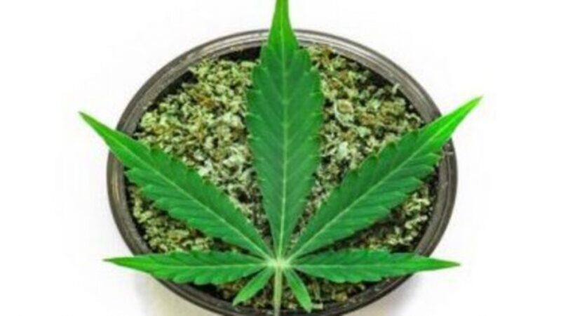 Visiting a New Baltimore Dispensary