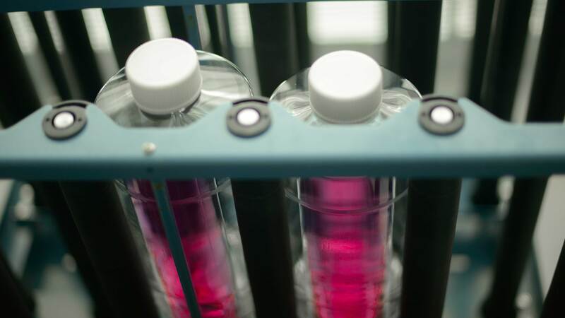When to Expect the Need for a Cell Culture