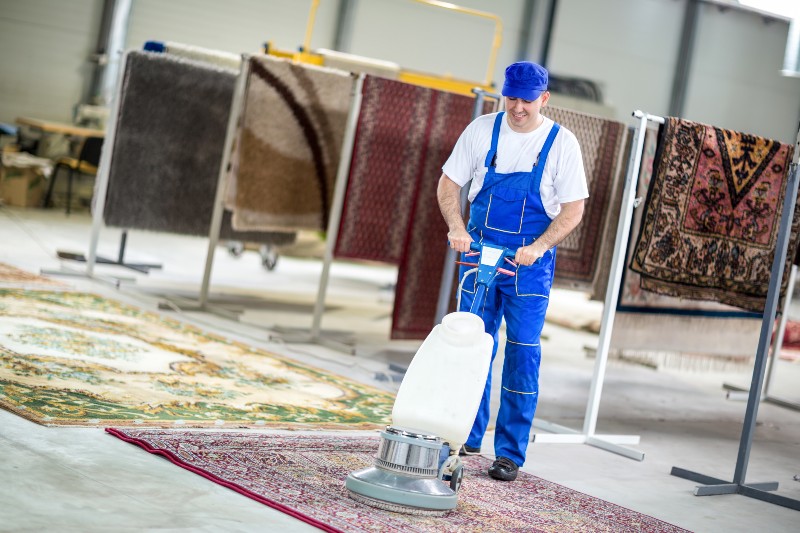 Why You Should Consider Carpet Cleaning Near Thornton, CO