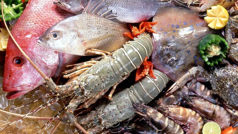 Things to Know When Considering Buying Meat Wholesale in Miami