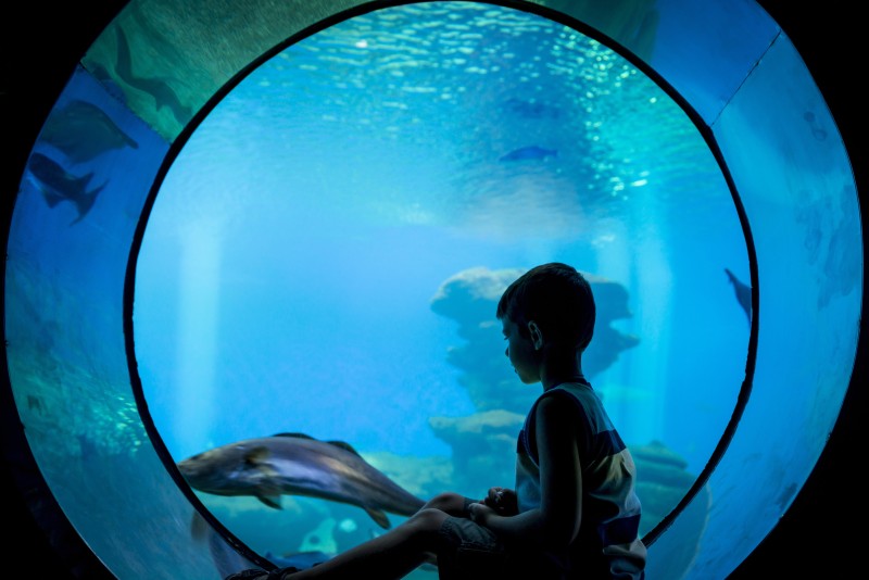 Not All Special Event Venues in Miami Are Hotels