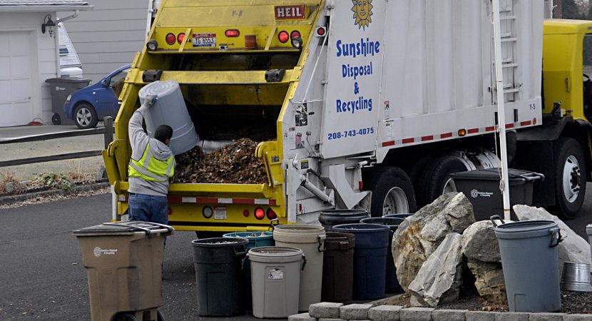 A Crestwood Junk Removal Service Allows Households to End Bug Invasions