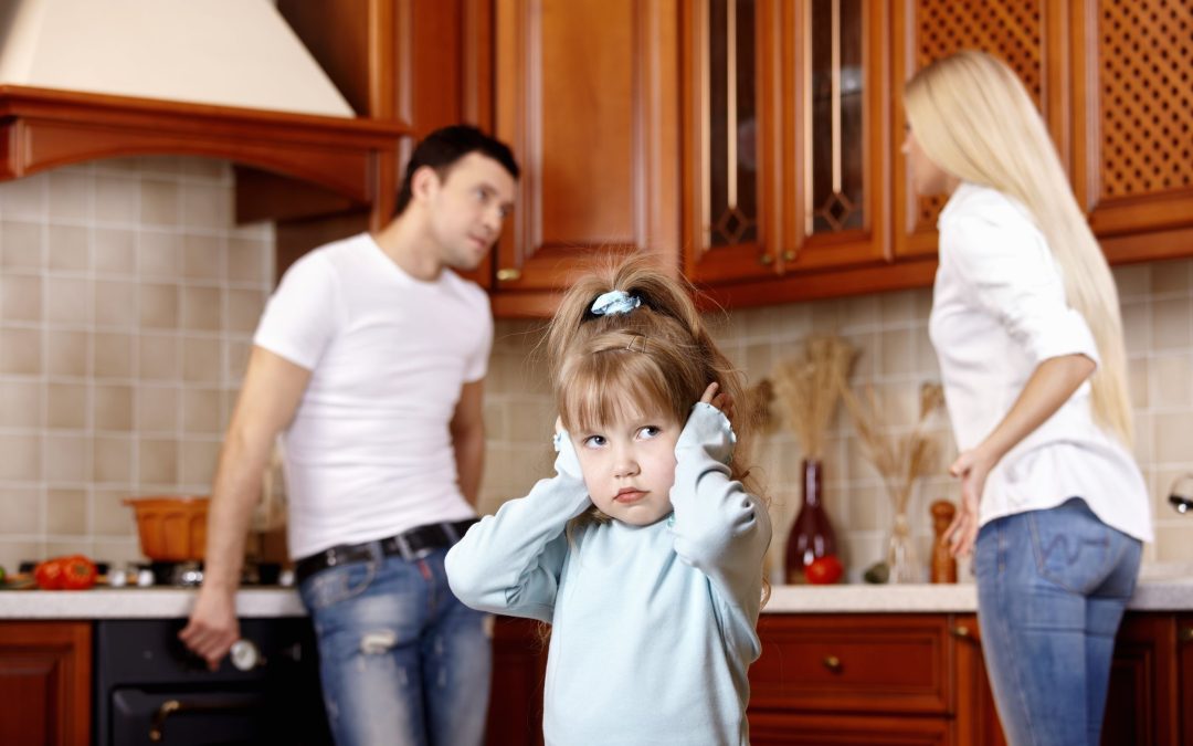 Signs of the Best Child Custody Lawyer in Tampa, FL