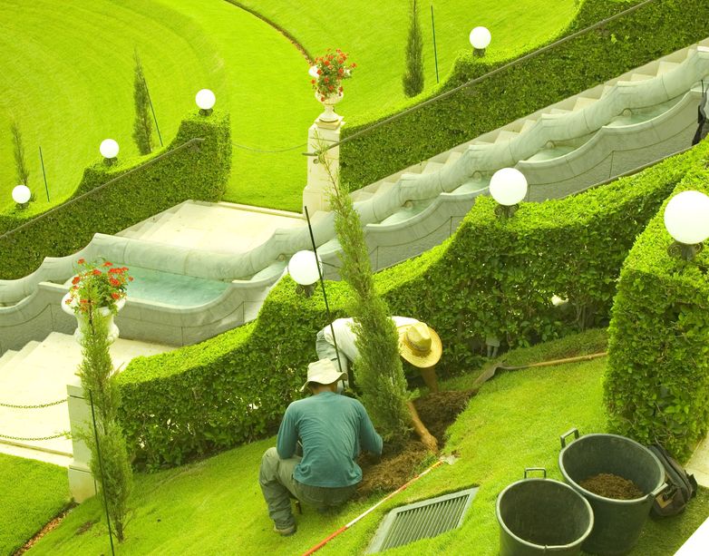 The Best Landscape Services in Winter Garden, FL Can Help You with Many Things