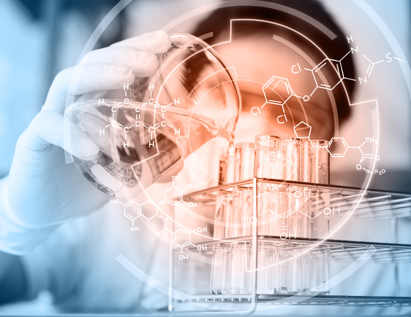 The Transformative Role of Mycorrhizal Fungi for Roses in Promoting Exceptional Floral Abundance and Soil Vitality