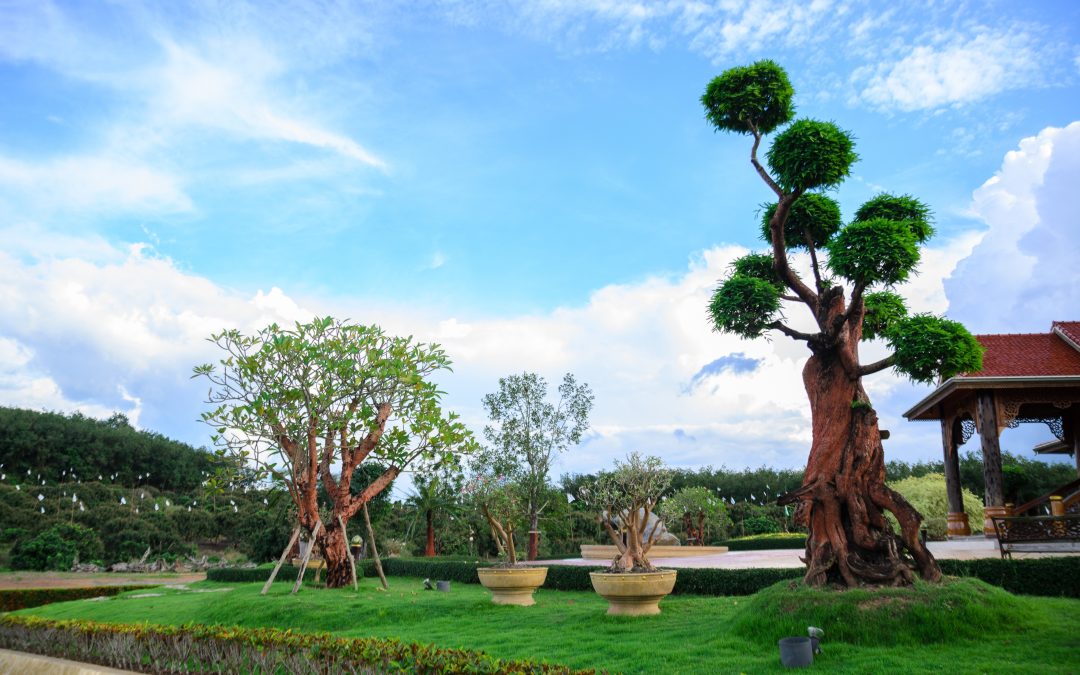 Smart ways to reduce costs through landscape maintenance in Gretna, NE, solutions
