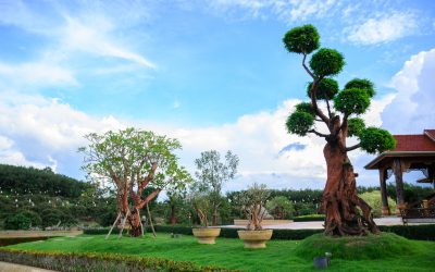 Smart ways to reduce costs through landscape maintenance in Gretna, NE, solutions