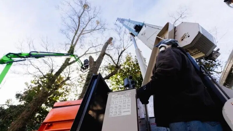 Discover the Benefits of Tree Crane Service in McDonough GA