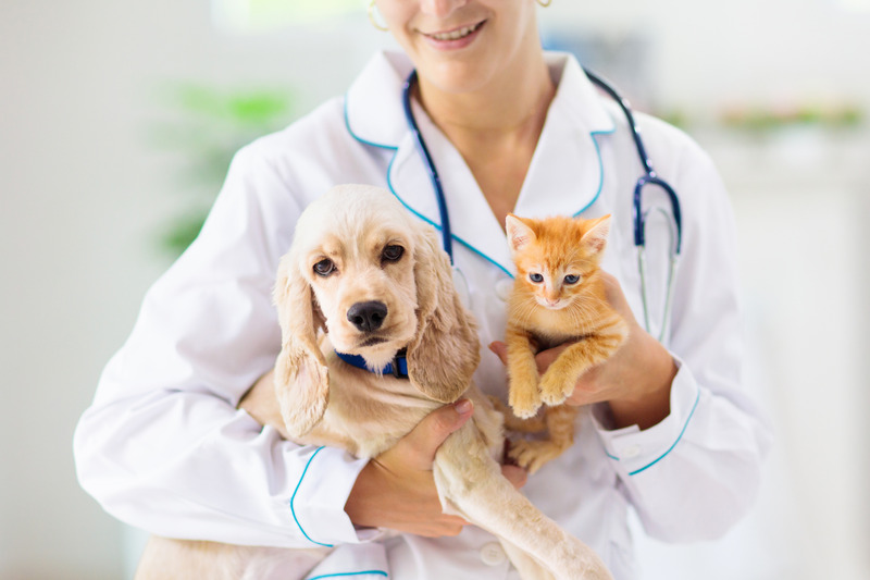 Complete Pet Care for a Thriving Community: Veterinary Services in Phoenix, AZ