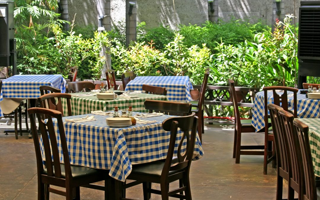 Benefits of Professional Interior Plant Service Chicago, IL for Business Environments