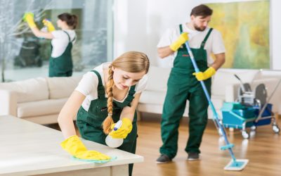 Say Goodbye to Mess with Reliable House Cleaning In Westlake, OH, Trusted by Locals