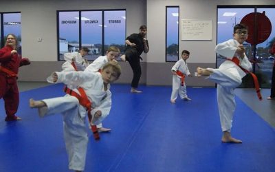 Building Strong Family Bonds Through Family Martial Arts Programs