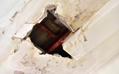Signs You Need a Water Damage Restoration Company in Kansas City, MO, Right Away