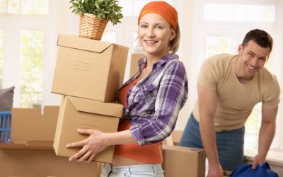Find Peace of Mind With Local Moving Services Greenville, NC for Stress-Free Relocation?