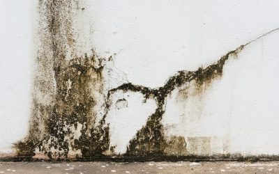 Essential Tips For Homeowners: Managing Flood Damage In Coeur d’Alene, ID