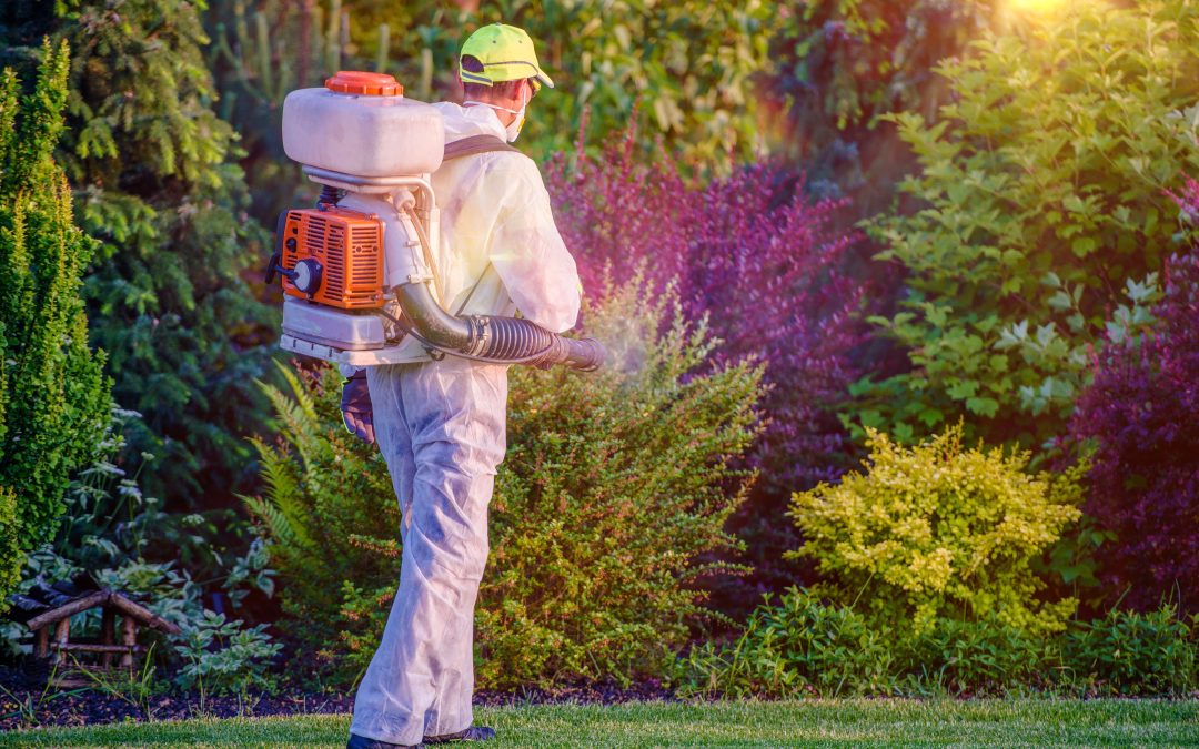 Protect your family from bites with mosquito control services Gainesville, VA, trusts