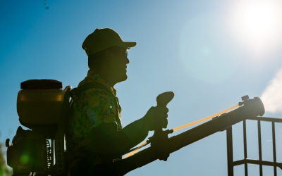 Protect Your Pets And Family With Flea And Tick Prevention In Gainesville, VA, With Solutions