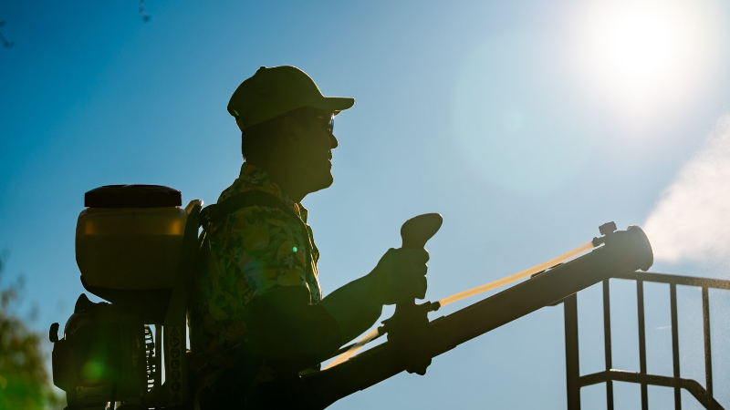 Protect Your Pets And Family With Flea And Tick Prevention In Gainesville, VA, With Solutions