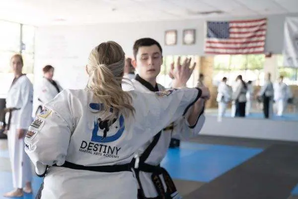 Karate as a Vehicle for Stress Management and Emotional Regulation for Busy Professionals