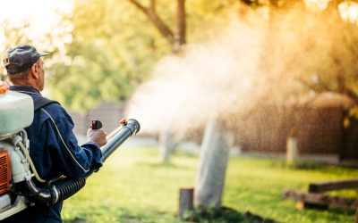Prevent Stubborn Weeds with Proven Weed Control in Shelbyville, KY, Services for Lasting Results