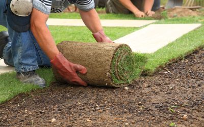 Homeowners Find Lasting Curb Appeal with Artificial Grass Tulsa, OK for Lush Lawns