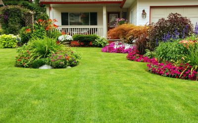 Boost Home Value Using Professional Landscape Lighting Services in Winston-Salem, NC