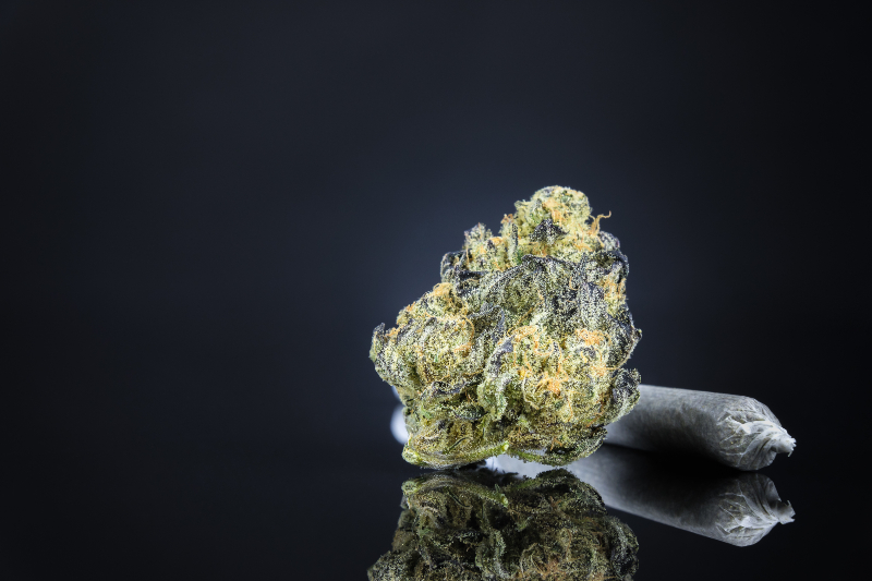Enjoy a Relaxing Smoking Experience with Legal THCA Flower and Compliant Hemp Strains