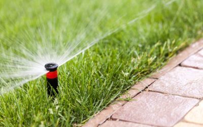How Irrigation Installation Supports Low-Water Landscape Designs