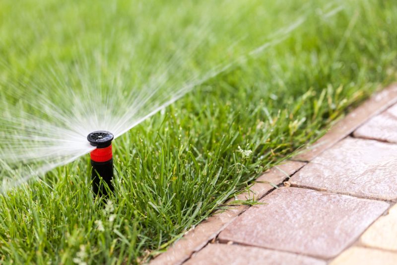How Irrigation Installation Supports Low-Water Landscape Designs